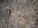 Thumbnail of Photo 170599 northeast facing section of land drain [910303] taken at Hunts Green Farm
