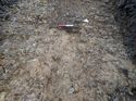 Thumbnail of Photo 170600 northeast facing section of land drain [910303] taken at Hunts Green Farm