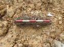 Thumbnail of Photo 170609 east facing section of pit [910505] taken at Hunts Green Farm
