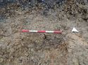 Thumbnail of Photo 170613 south facing section of rooting [911807] taken at Hunts Green Farm
