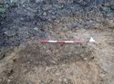 Thumbnail of Photo 170616 south facing section of rooting [911807] taken at Hunts Green Farm