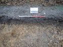 Thumbnail of Photo 170617 northeast facing section of rooting [911804] taken at Hunts Green Farm