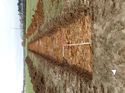 Thumbnail of Photo 180624 southwest view of trench 4 taken at Hunts Green Farm