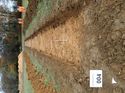 Thumbnail of Photo 180625 northeast view of trench 4 taken at Hunts Green Farm