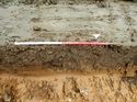 Thumbnail of Photo 180635 east facing representative section of trench 1 taken at Hunts Green Farm