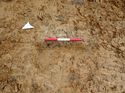Thumbnail of Photo 180637 west facing section of rooting [900403] taken at Hunts Green Farm