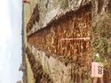Thumbnail of Photo 180638 southeast view of trench 2 taken at Hunts Green Farm
