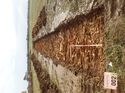 Thumbnail of Photo 180639 southeast view of trench 2 taken at Hunts Green Farm