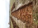 Thumbnail of Photo 180640 southeast view of trench 2 taken at Hunts Green Farm