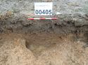 Thumbnail of Photo 180648 northwest facing section of pit [900405] taken at Hunts Green Farm