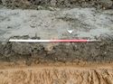 Thumbnail of Photo 180657 north facing representative section of trench 12 taken at Hunts Green Farm