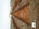 Thumbnail of Photo 180658 south view of trench 14 taken at Hunts Green Farm