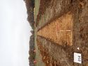 Thumbnail of Photo 180660 north view of trench 14 taken at Hunts Green Farm