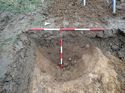 Thumbnail of Photo 180669 south facing section of rooting [900205] taken at Hunts Green Farm