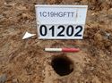 Thumbnail of Photo 190675 northeast facing section of posthole [901202] taken at Hunts Green Farm