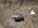 Thumbnail of Photo 190679 south facing section of posthole [901204] taken at Hunts Green Farm