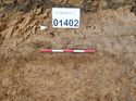 Thumbnail of Photo 190686 east facing section of rooting [901402] taken at Hunts Green Farm