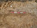 Thumbnail of Photo 190687 east facing section of rooting [901402] taken at Hunts Green Farm
