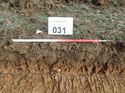 Thumbnail of Photo 190692 south facing representative section of trench 31 taken at Hunts Green Farm