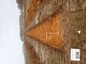 Thumbnail of Photo 190697 north view of trench 36 taken at Hunts Green Farm