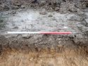 Thumbnail of Photo 190700 east facing representative section of trench 36 taken at Hunts Green Farm