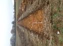Thumbnail of Photo 190702 northeast view of trench 40 taken at Hunts Green Farm