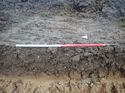 Thumbnail of Photo 190706 southeast facing representative section of trench 40 taken at Hunts Green Farm