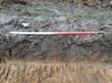 Thumbnail of Photo 190712 southwest facing representative section of trench 42 taken at Hunts Green Farm