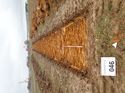 Thumbnail of Photo 190713 southwest view of trench 46 taken at Hunts Green Farm