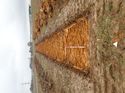 Thumbnail of Photo 190714 southwest view of trench 46 taken at Hunts Green Farm