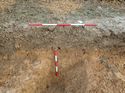 Thumbnail of Photo 19072 southwest facing section rooting [904203] taken at Hunts Green Farm
