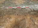 Thumbnail of Photo 190720 southwest facing section geology [903602] taken at Hunts Green Farm