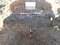 Thumbnail of Photo 190724 south facing section ditch [903103] taken at Hunts Green Farm