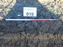 Thumbnail of Photo 190732 northwest view of trench 19 taken at Hunts Green Farm
