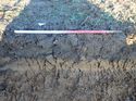 Thumbnail of Photo 190733 southwest facing representative section of trench 19 taken at Hunts Green Farm