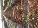 Thumbnail of Photo 190737 southwest view of trench 5 taken at Hunts Green Farm