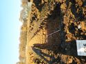 Thumbnail of Photo 190738 northeast view of trench 5 taken at Hunts Green Farm