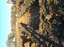 Thumbnail of Photo 190742 southwest facing representative section of trench 5 taken at Hunts Green Farm