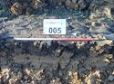 Thumbnail of Photo 190743 southeast facing representative section of trench 5 taken at Hunts Green Farm