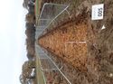 Thumbnail of Photo 200745 northeast view of trench 5 taken at Hunts Green Farm