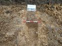 Thumbnail of Photo 200751 west view of trench 9 taken at Hunts Green Farm