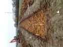 Thumbnail of Photo 200758 west view of trench 11 taken at Hunts Green Farm