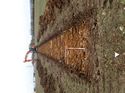 Thumbnail of Photo 200767 northeast view of trench 22 taken at Hunts Green Farm