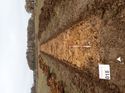 Thumbnail of Photo 200768 southwest view of trench 22 taken at Hunts Green Farm