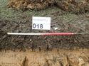 Thumbnail of Photo 200770 southwest view of trench 22 taken at Hunts Green Farm