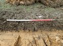 Thumbnail of Photo 200771 southeast facing representative section of trench 22 taken at Hunts Green Farm