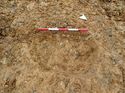 Thumbnail of Photo 200773 south view of trench 18 taken at Hunts Green Farm