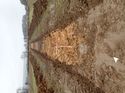 Thumbnail of Photo 200803 northwest view of trench 27 taken at Hunts Green Farm