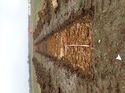 Thumbnail of Photo 200805 southeast view of trench 27 taken at Hunts Green Farm