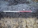 Thumbnail of Photo 200807 northeast facing representative section of trench 27 taken at Hunts Green Farm